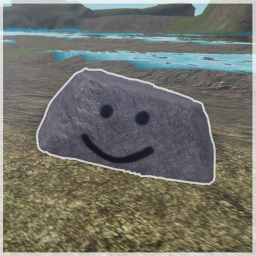 A Rock's Life