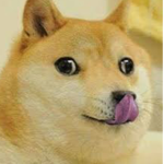 #DOGE ARMY FOR LIFE