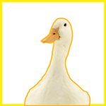 BigBeak Studio