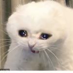 GhostCat-