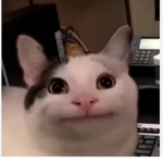 Soven_YT