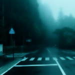 .novcy