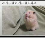 그룹ㅋㅋㅋ