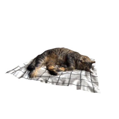 Cat On Blanket