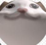 K creator