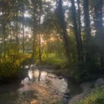 nature club camp