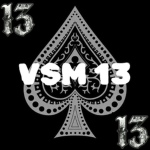 VSM 13