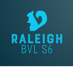 Raleigh S6