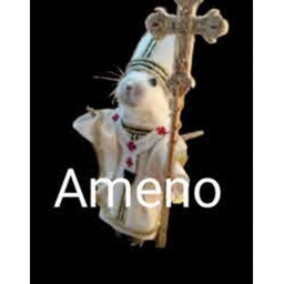 ＡＭＥＮＯ ＡＭＥＮＯ