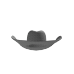 Cowbot Sheriff Hat
