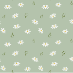 Daisy._