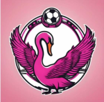 Fc Swans Team!