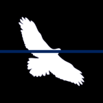 SB | National Police Institute