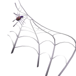 Spider Webbed Shoulders