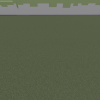 Custom morph testing area