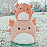 Squishmellow obsessed