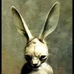 TheBunnyArmy