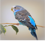 Parakeet Island