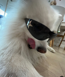 coolkid club>_<
