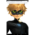 Cat noir Squad