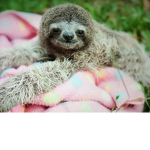 #Sloth Style