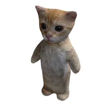 El Gato Cat | Roblox Item - Rolimon's