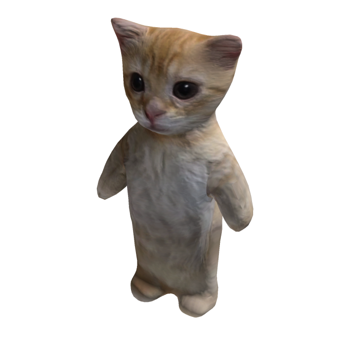 El Gato Cat