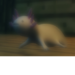Axolotl Group TM