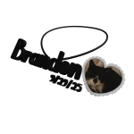 brandon cat necklace 3.0