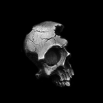 The shattered Skulls