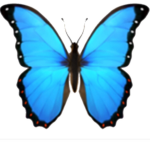 #butterflyxsquad