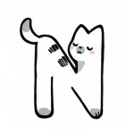 N🐱
