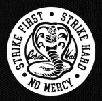 Cobra Kai Martial Arts - Roblox