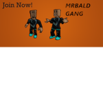 Mrbald gang