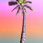 Girl Palm’s