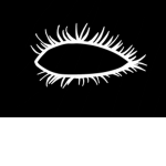 _White Eyes_