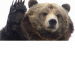 MY BEARS ;3