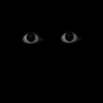 rytooz
