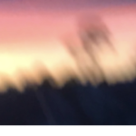 ~ ~ m y l i l d e m o n s ~ ~