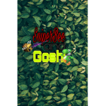 Izzy Bee & Go-Yoshi World Fans!