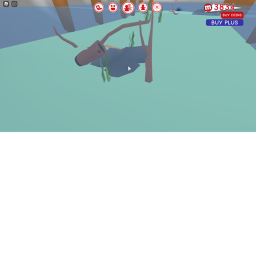 water park 1