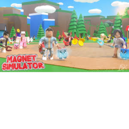 Magnet simulator