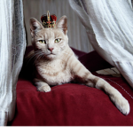 Queen_Cat