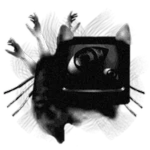 monitor miau