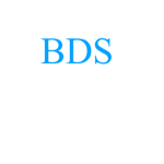 BlueDuckStudios
