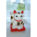 #Anime Cats!