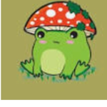 Laylas army