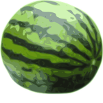 #TeamWatermelon