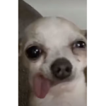 Ak yt <3