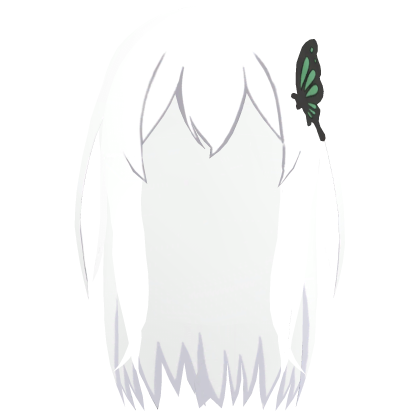 Echidna